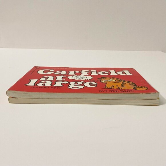 Garfield at Large and Garfield Chews the Fat Books by Jim Davis - Picture 5 of 16